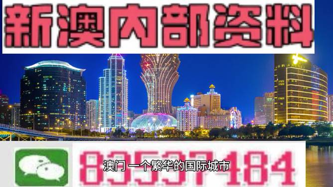 2024年新澳门王中王免费,状况分析解析说明_R版94.961