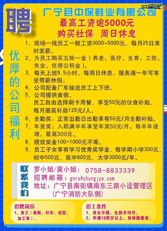 石排最新临时工信息汇总与探讨