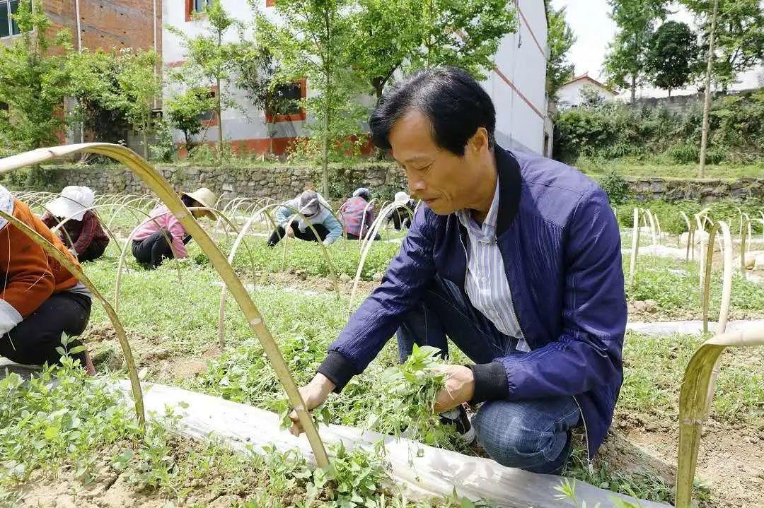 郫县新冠病毒最新动态报告